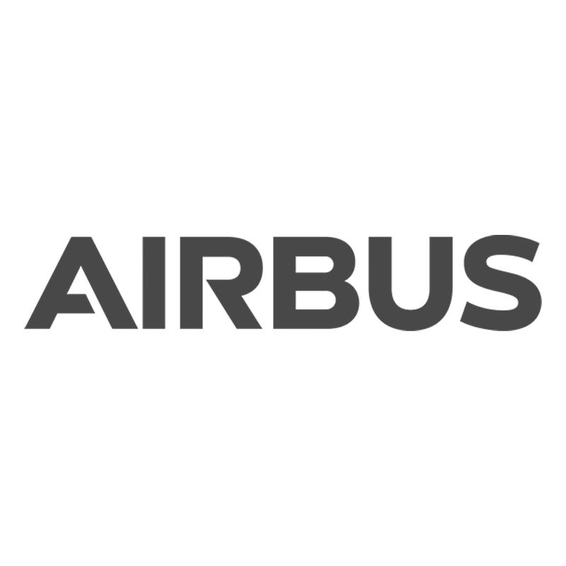 The image shows the Airbus logo in bold, gray uppercase letters on a transparent background, ensuring maximum visibility.
