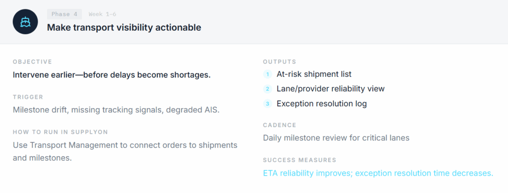 A project plan section outlining objectives, outputs, workflow, cadence, and success measures for making transport visibility actionable in supply chain management.