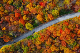 A car drives along a winding road through a forest with vibrant autumn foliage in shades of red, orange, and yellow, viewed from above.